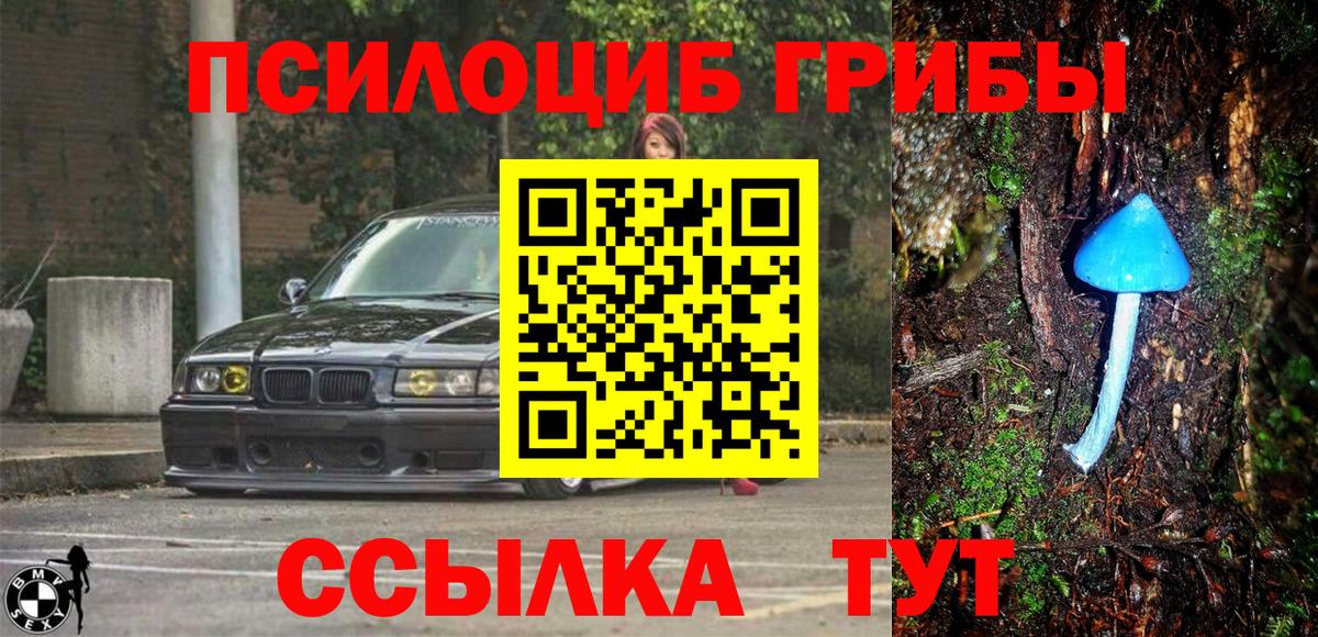 Псилоцибиновые грибы ЛСД Дальнегорск